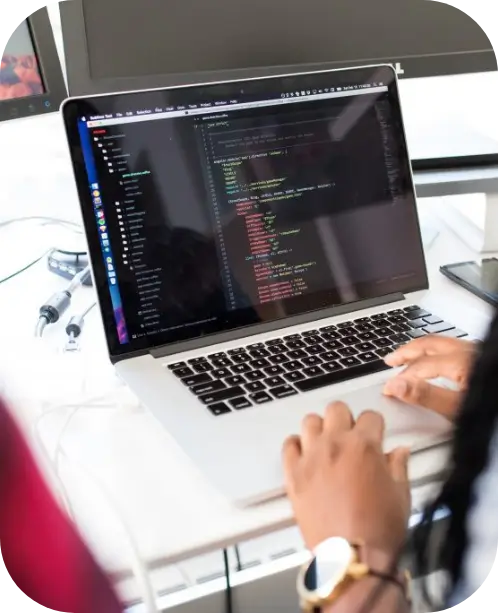 Web Development expert in NYC